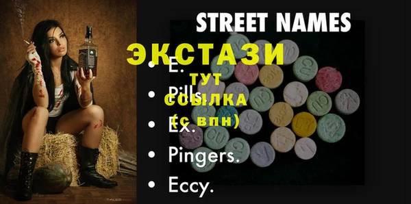 гидра Каменка