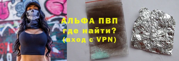 гидра Каменка