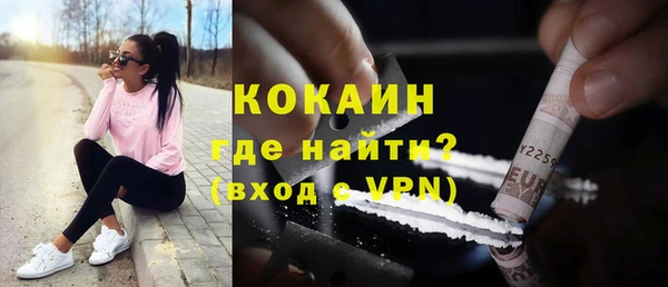 гидра Каменка