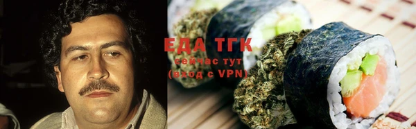 гидра Каменка