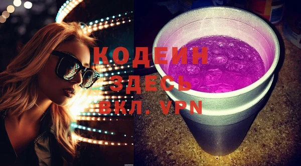 гидра Каменка