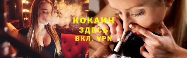 гидра Каменка