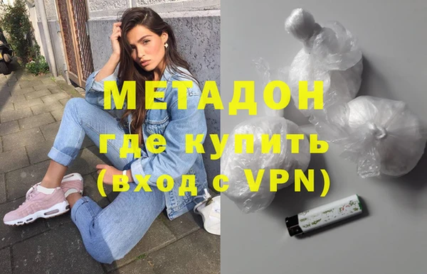 гидра Каменка