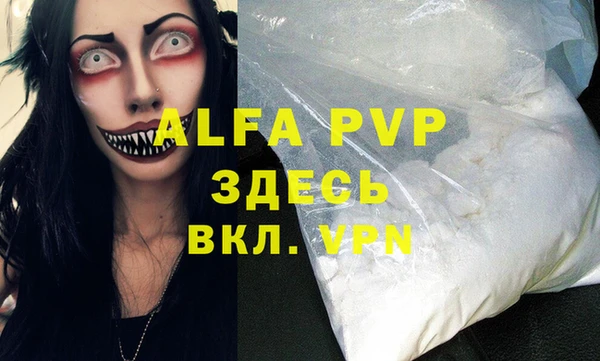 гидра Каменка