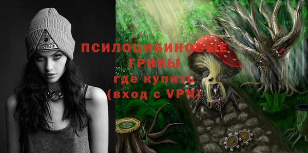 гидра Каменка