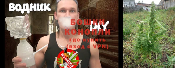 гидра Каменка