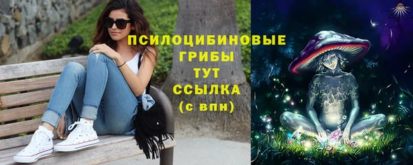 прущий лед Каменск-Шахтинский