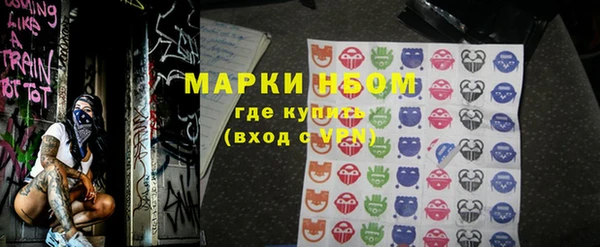 гидра Каменка