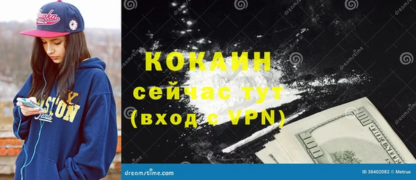 гидра Каменка